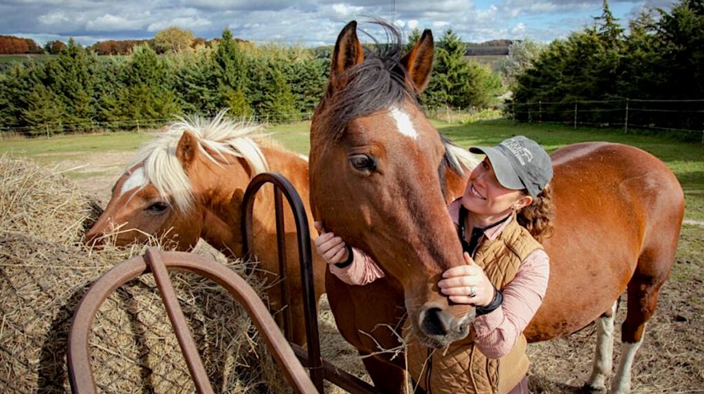 A calm horse being gently petted by a rancher