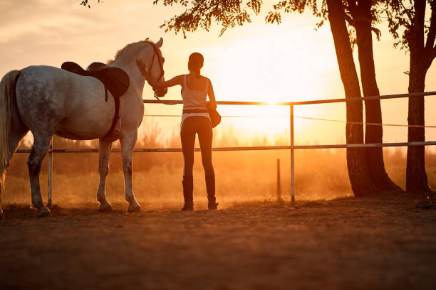 A rider gazing across open ranch land at sunset