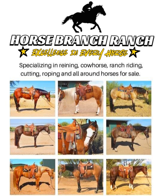 Horse Branch Ranch