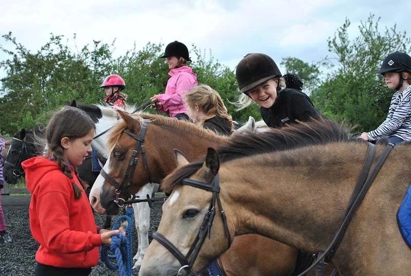 Kid-Safe & Family Horses