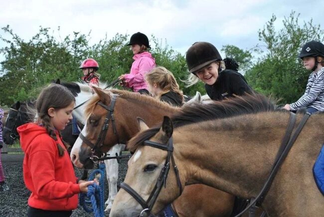 Kid Safe – Family Horse Find quality horses for sale